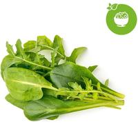 Click & Grow Recharge Mix de Feuilles à Salade - 9 Capsules (3x3) pour Jardin In