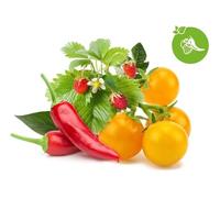 Click & Grow Recharge Mix Fruits et Légumes - 9 Capsules (3x3) pour Jardin Intelligent G