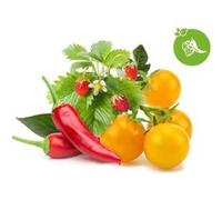 Click & Grow Recharge Mix Fruits et Légumes - 9 Capsules (3x3) pour Jardin Intelligent G