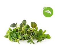 Click & Grow Recharge Mix Herbes Italiennes - 9 Capsules (3x3) pour Jardin Intelligent G