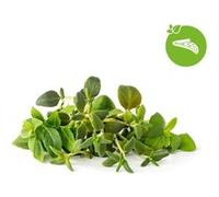 Click & Grow Recharge Mix Tisanes Apaisantes - 9 Capsules (3x3) pour Jardin Intelligent G