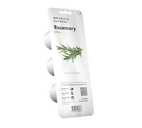 Generique Capsules Prêtes à Pousser Romarin - Pack de 3 pour Potager et Jardinière Intérieur