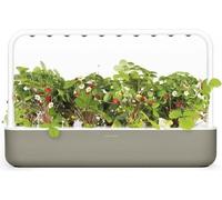 Click & Grow Smart Garden 9, Beige - Potager d’intérieur intelligent avec éclair