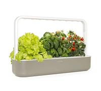 Click & Grow Smart Garden 9 Capsules, Potager Intérieur Connecté, Gris | Hydroponique Simplifié. Éclairage et Arrosage Automatiques. Kit complet (basilic, tomate, laitue). Germination garantie