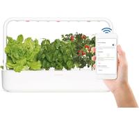 Click & Grow Smart Garden 9 Pro, Jardin d’Intérieur Contrôlé par Bluetooth et App, Kit de 9 Capsules Prêtes à Pousser, Plus Facile que l’Hydroponie