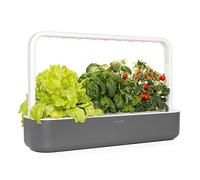 Smart Garden 9 Jardinière d'Intérieur, Gris Anthracite, 62 x 18,4 x 39.6 cm