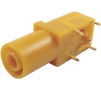 Cliff FCR7350Y Douille de sécurité femelle, coudé Ø de la broche: 4 mm jaune 1 pc(s)
