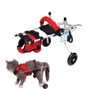 Cliff Richard: The Blue Sapphire Tour 2023 ( Cliff Richard - The Blue Sapphire Tour 2023 ) [ Origine Australien, Sans Langue Francaise ]