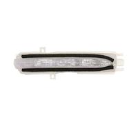 Blic Clignotant 5403-01-811862P