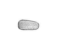 Clignotant avant gauche blanc 3742914 VAN WEZEL pour OPEL ASTRA G Break