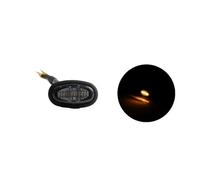 Clignotant Rétroviseur pour F150 pour Raptor 2017-2019 1pc Feux De Calandre À LED Et Feux De Position Latéraux Lumières Décoratives Feux De Calandre(1x Smoke Amber)