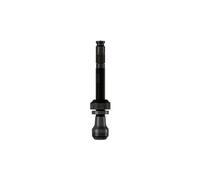 Clik valve schwalbe tubeless