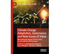 Climate Change Adaptation, Governance and New Issues of Value: Measuring the Impact of ESG Scores on CoE and Firm Performance