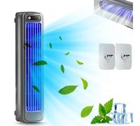 Climatiseur Brizac, Brizac Cooling Ace, Refroidisseur d'air Brizac, Profitez d'un rafraîchissement rapide, naturel et sain, Climatiseur portable silencieux à 3 vitesses (Gris)