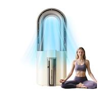 Climatiseurs Mobiles | Climatiseur Ventilateur Rafraîchisseur d'Espace,Rafraîchisseur d'Air Portable avec Réservoir d'Eau Amovible pour Bureau Maison Camping Chambre Extérieur Terrasse