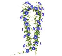 Climbing Plant Trellis, Metal Rustproof Garden Support, 73cm Indoor Trellis for Potted Plants, Heavy Duty Steel Frame with Decorative Finish, Vertical Plant Support Stable Base, for Monstera Flower