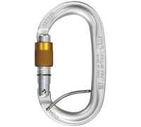 Mousqueton Climbing Technology Pilier PRO SGL argent