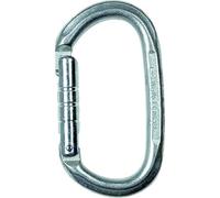 Mousqueton Climbing Technology Pillar Steel argent