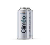Climéo 400 ml Remplacement écologique du réfrigérant R1234yf 2 en 1, 3 en 1, entretien de la climatisation à faire soi-même (2 boîtes, 2 en 1)
