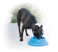 CLIMSOM - Gamelle pour Grand Chien Qui Garde l'eau Fraiche Plusieurs Heures - Gamelle Rafraichissante XL,1Litre