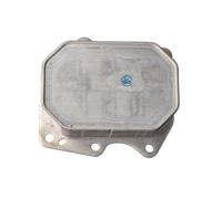 CLIMTEX CH8-119 Radiateur d'huile