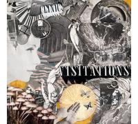 Domino – Clinic - Visitations