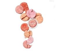 Clinique - Cheek Pop Blush 08 Melon Pop