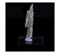 CLINOZOISITE - Pierre Naturelle en Provenance de France, Marine de Scala, Canari, Cap Corse, Bastia, Haute-Corse - Cristal Vert Olive, Métamorphique, Collection Minérale 15.74 ct - Certificat d'Authen