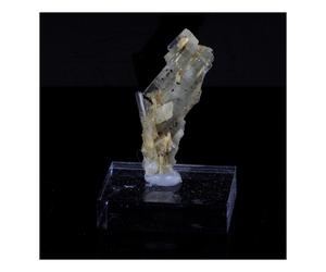 Clinozoisite. 13.38 Ct. Marine De Scala, Canari, Haute-Corse, France.