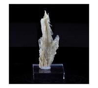 CLINOZOISITE - Pierre Naturelle en Provenance de France, Marine de Scala, Canari, Cap Corse, Bastia, Haute-Corse - Cristal Vert Olive, Métamorphique,