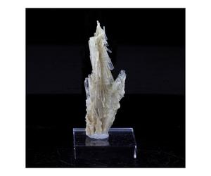 Clinozoisite. 19.0 Ct. Marine De Scala, Canari, Haute-Corse, France.