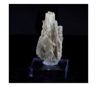 Clinozoisite. 30.0 Ct. Marine De Scala, Canari, Haute-Corse, France.