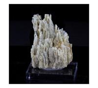 Clinozoisite. 93.5 Ct. Marine De Scala, Canari, Haute-Corse, France.