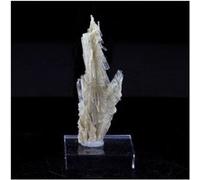 CLINOZOISITE - Pierre Naturelle en Provenance de France, Marine de Scala, Canari, Cap Corse, Bastia, Haute-Corse - Cristal Vert Olive, Métamorphique, Collection Minérale 29.0 ct - Certificat d'Authent