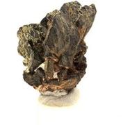 CLINOZOISITE - Pierre Naturelle en Provenance de France, Marine de Scala, Cap Corse - Cristal Vert Olive, Lithothérapie, 13.38 ct - Certificat d'Authenticité Inclus 23 x 9 x 3 mm Vert G