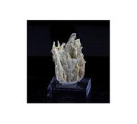 CLINOZOISITE - Pierre Naturelle en Provenance de France, Marine de Scala - Cristal Vert Rare et Puissant 6.0 ct - Certificat d'Authenticité Inclus 25