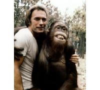 Clint Eastwood Photo 25,4 x 20,3 cm