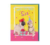 Clintons: Carte d'anniversaire pour sœur Motif chiot et chaton 11 x 15 cm
