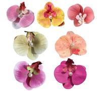 Clip de cheveux d'orchidée papillon, 7pcs mignons Coix de cheveux de fleurs hawaïennes, pinces de cheveux de fleurs tropicales pour les femmes Girls Wedding Summer Beach Party, Hawaiian Flower Hair C