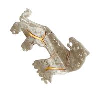 Clip de griffe d'animaux, pince à cheveux léopard,Clip de griffe moyenne créative - Clip de cheveux antidérapant avec décoration funky, coiffe à la mode pour cheveux secs et bagnat