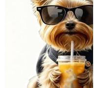 Clip De Ventilation Parfumant - Forme 2D De Chien Mignon En Acrylique À Parfum Solide,4 Pièces De Rafraîchisseurs D Air Pour Véhicules, Voiture Camion SUV Caravane Climatisation Maison Cuisine