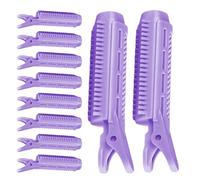 Clip pour le volume des cheveux, pinces à cheveux avec volume pour racines - 10 clips de rouleau volumisateurs portables, clips racine pour volume des cheveux, rouleaux pour donner du volume au ca