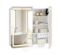 CLIPOP Armoire de salle de bain avec miroir et éclairage - Avec miroir et prise - Fonction anti-buée - Armoire de salle de bain avec 2 portes - 80 x 70 x 16,5 cm - Ouverture pour boîtes à mouchoirs