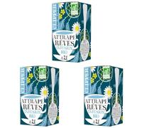 CLIPPER - Infusion Bio - Attrape-Rêves - Cannelle, Camomille, Rooibos, Orange - 20 Sachets de thé Bio - 3 paquet