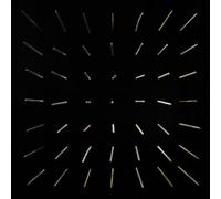 clipping. There Existed an Addiction to Blood (Vinyl) 12" Album