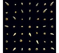 CLIPPING. - VISIONS OF BODIES BEING BURNED 2 VINYL LP NEUF