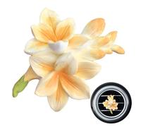 Clips d'aération à s, Clip d'éventurant d'air de la voiture de - Freesia Air Outlet Frainer Clip - Éliminateur des odeurs pour la salle de bain, décorations de parfum de véhicule