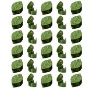 Clips de Vigne pour grimpantes d'intérieur, Crochets de Fixation de Feuilles, Accessoires de Jardinage pour intérieur et extérieur et Gestion des câbles
