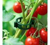 Clips Tomate pour Plantes, 2026 Nouv Plant Support Clips de Jardin, Clip en Plastique Sécurisé pour Plantes, Support pour Plantes, Attache Plante Grimpante pour légumes, tomates et Vignes (150, Vert)