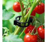 Clips Tomate pour Plantes, 2026 Nouv Plant Support Clips de Jardin, Clip en Plastique Sécurisé pour Plantes, Support pour Plantes, Attache Plante Grimpante pour légumes, tomates et Vignes (150, Noir)
